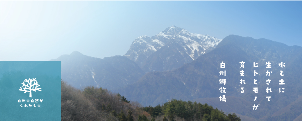 水と土に生かされてヒトとモノが育まれる