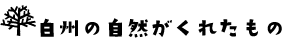 白州の自然がくれたもの